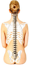 Quiropractico Ibiza 8 NS Woman Home Final bones